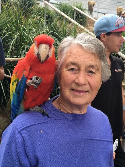 Bird World Maleny has many Macaws