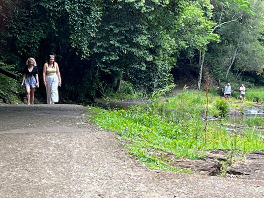 Walking path to Gardners falls