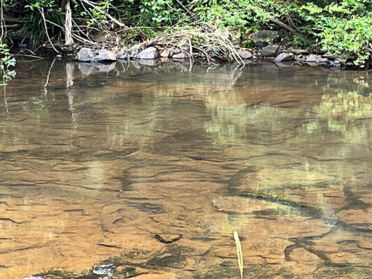 Tranquil parts of Gardners Falls