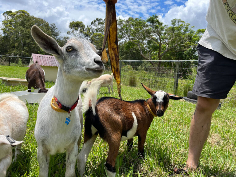 Bessie’s Country Escape