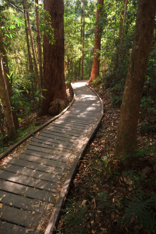 Secluded Maleny Accommodation