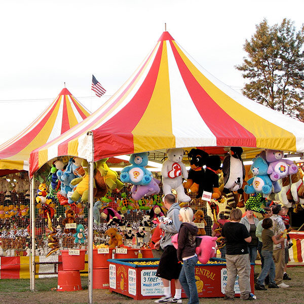 Stalls a novelties at Maleny Show