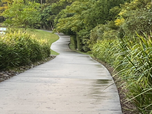 cloud walk pathway at maleny